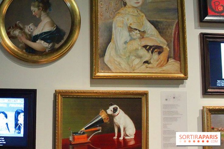 Exposition Chiens et Chats à la Cité des Sciences