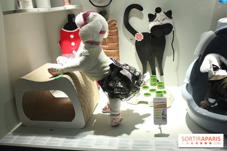 Exposition Chiens et Chats à la Cité des Sciences