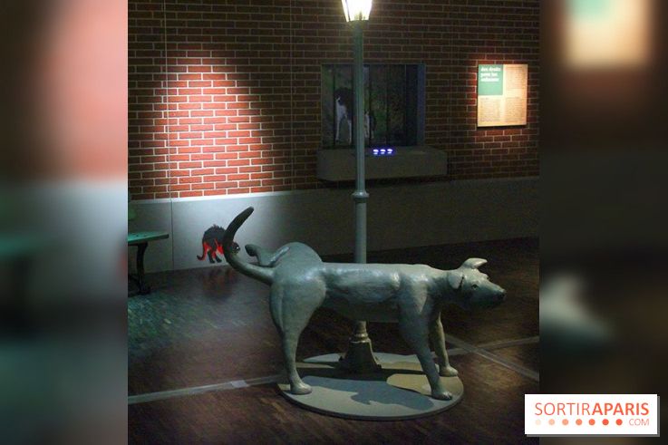 Exposition Chiens et Chats à la Cité des Sciences