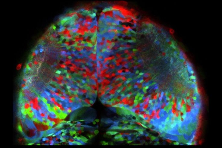 L'exposition Expériences dans le jardin du Musée Curie