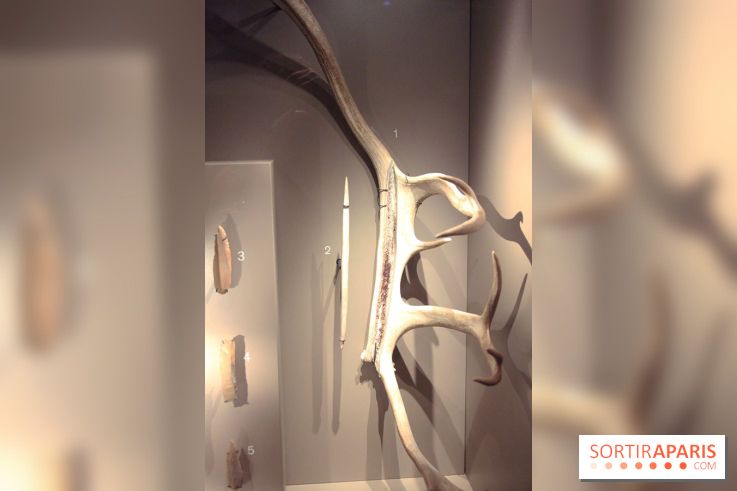 La Grotte de Lascaux à Paris !