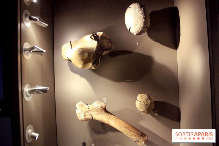 La Grotte de Lascaux à Paris !