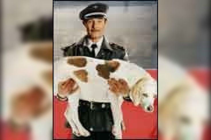 La Nouvelle vie de Monsieur Horten