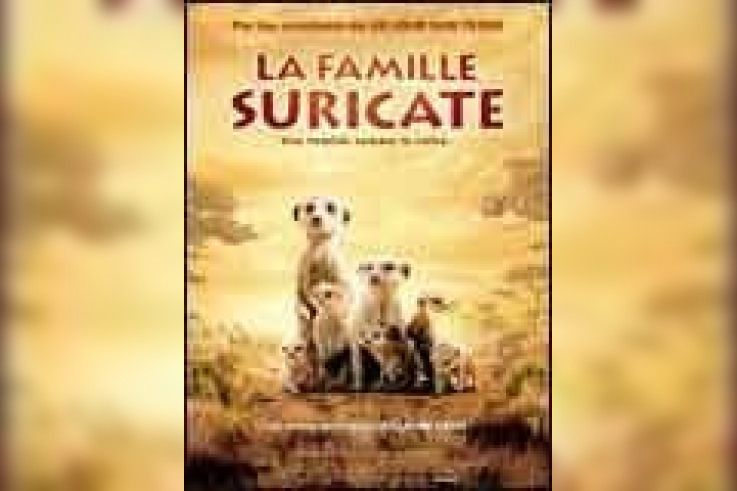 La Famille Suricate