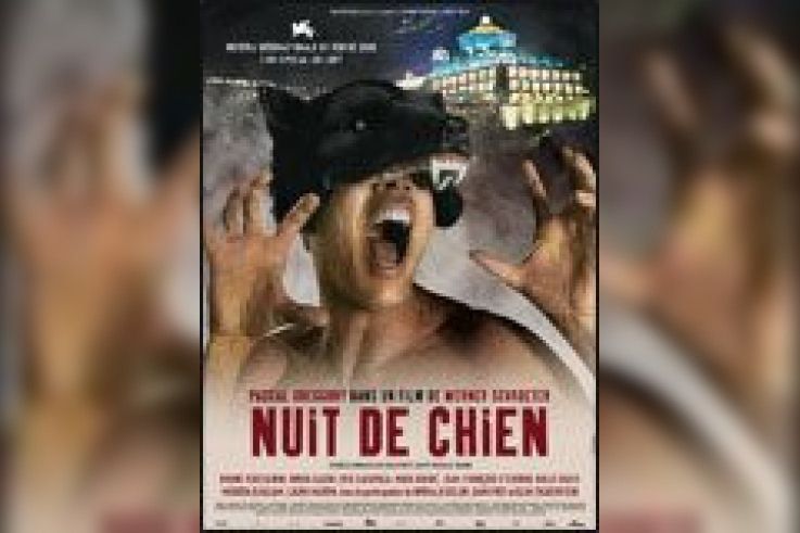 Nuit de chien