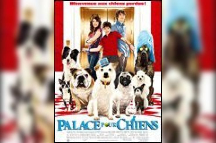 Palace pour chiens