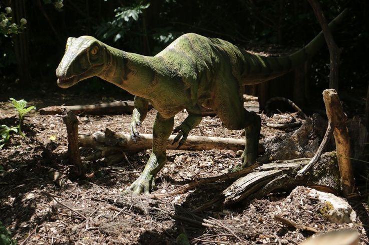 Les Dinosaures investissent le Zoo de Thoiry