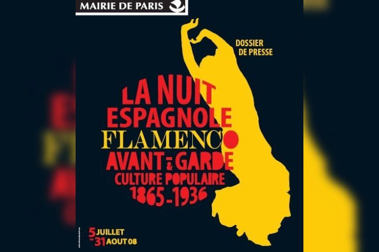Exposition, Culture, Paris, Petit Palais, Nuit Espagnole, Flamenco