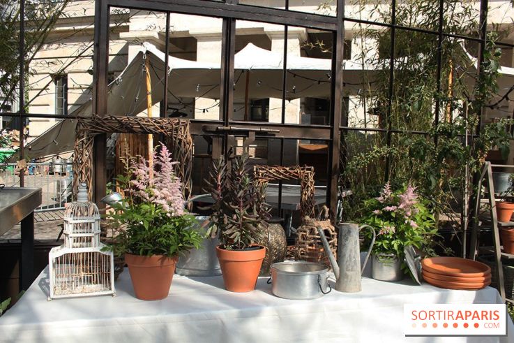Le potager d'Aucy 2015 à la Serre de la Rotonde