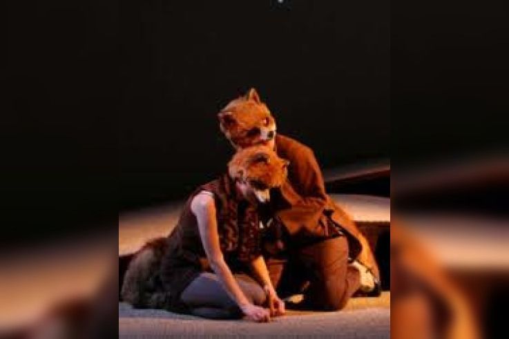 Une Petite Renarde Rusée