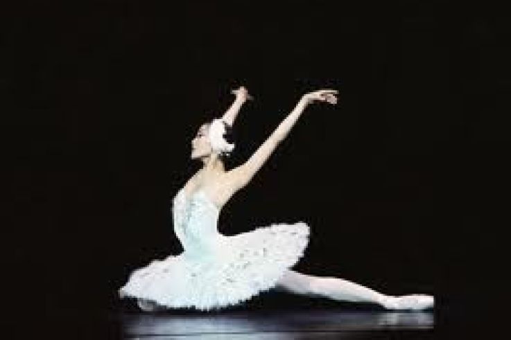 Les Etoiles De La Danse