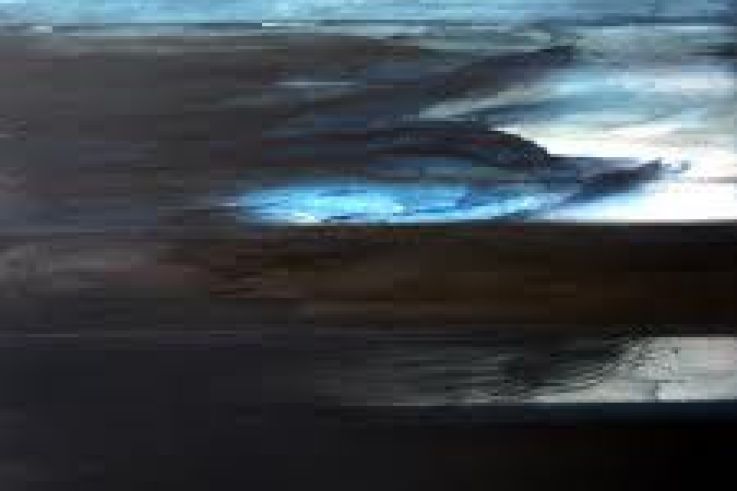 Les artistes de la galerie