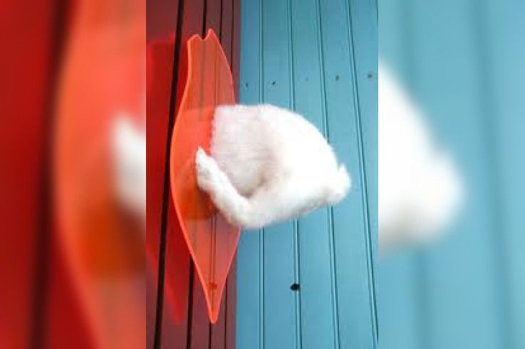 Ghyslain Bertholon, solo show, “Maleda”, installation, dessins, photos, sculptures