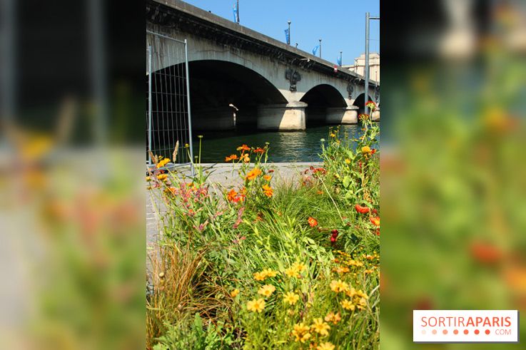 Petite Fleur Folie, le jardin éphémère sur les Berges
