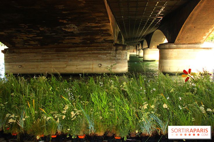 Petite Fleur Folie, le jardin éphémère sur les Berges