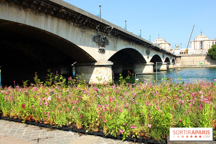 Petite Fleur Folie, le jardin éphémère sur les Berges