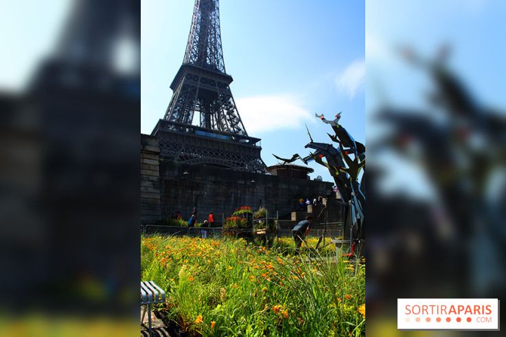 Petite Fleur Folie, le jardin éphémère sur les Berges