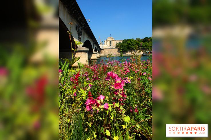 Petite Fleur Folie, le jardin éphémère sur les Berges