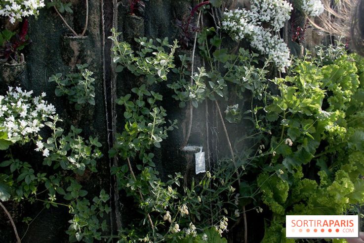 Le Paris sous les fraises des Galeries Lafayette