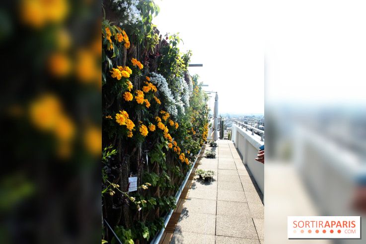Le Paris sous les fraises des Galeries Lafayette