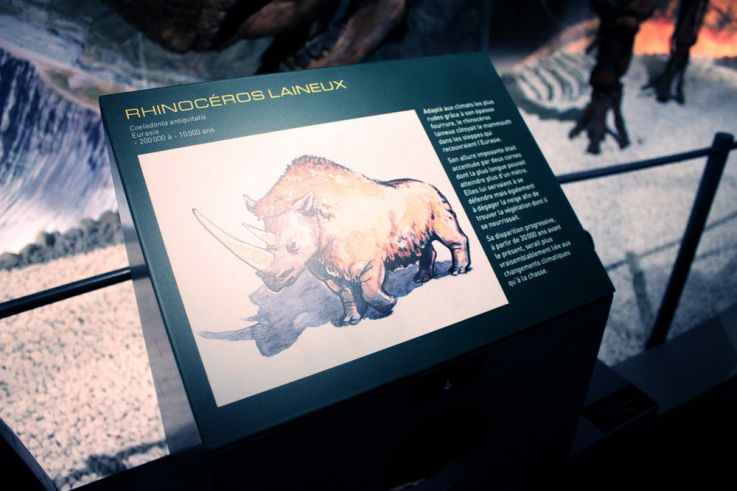 Préhistoire(s), l'enquête