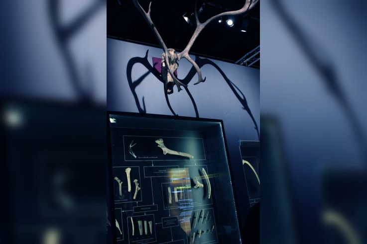 Préhistoire(s), l'enquête