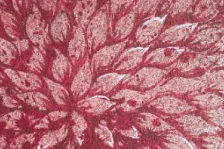 Nuit Blanche 2014 : le parcours 'Open Musée street art contemporain'