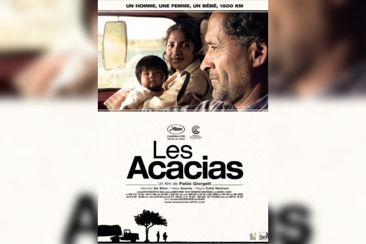 Les acacias
