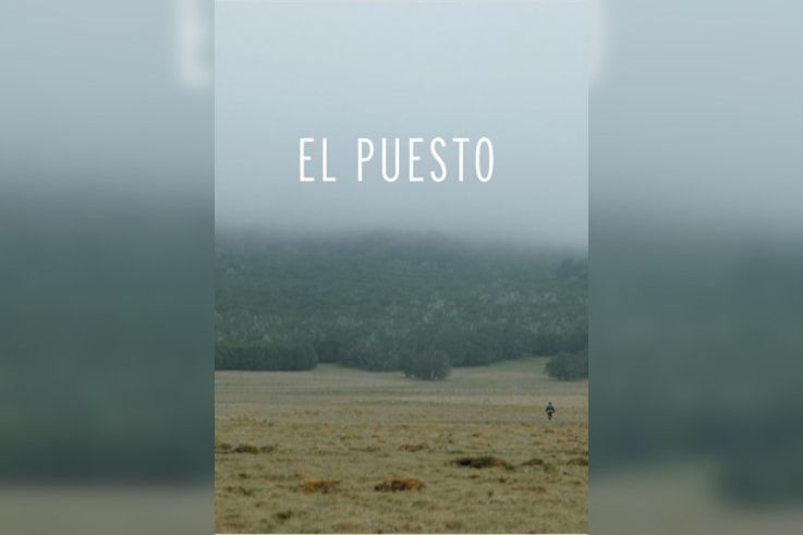 El puesto