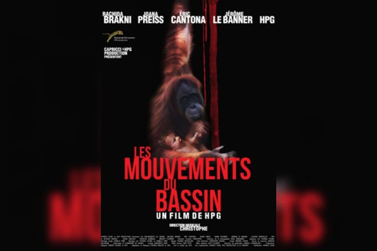 Les mouvements du bassin