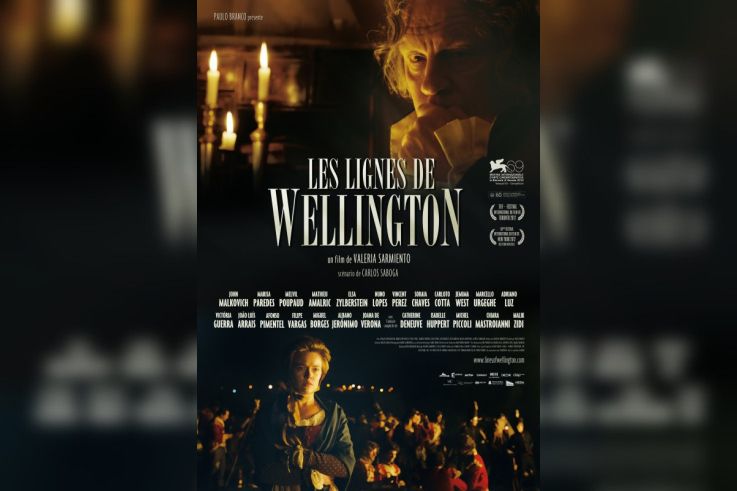 Les Lignes de Wellington