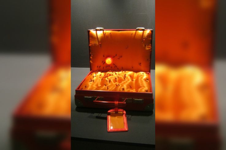 exposition Nez rouge,