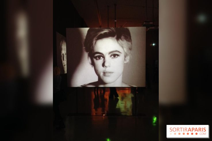 Andy Warhol au MAMVP