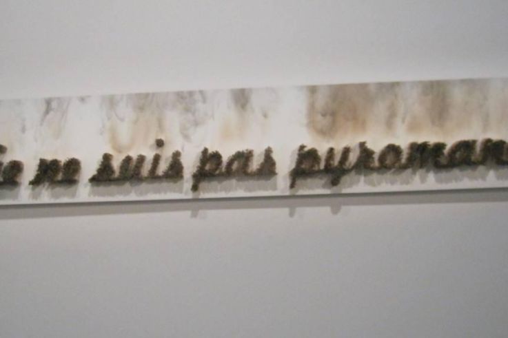 Exposition Dégagement, Institut du Mond Arabe,Ali Cherri Le Pyromane, © Ali Cherri Courtesy the artist and Imane Farès, Paris