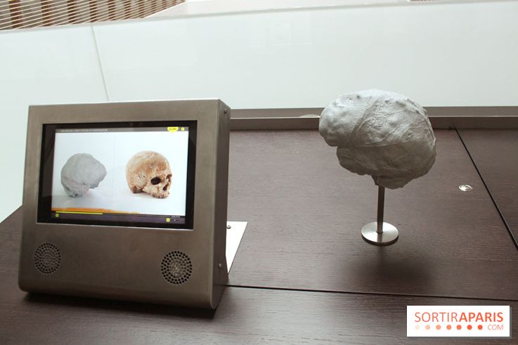 Le nouveau Musée de l'Homme