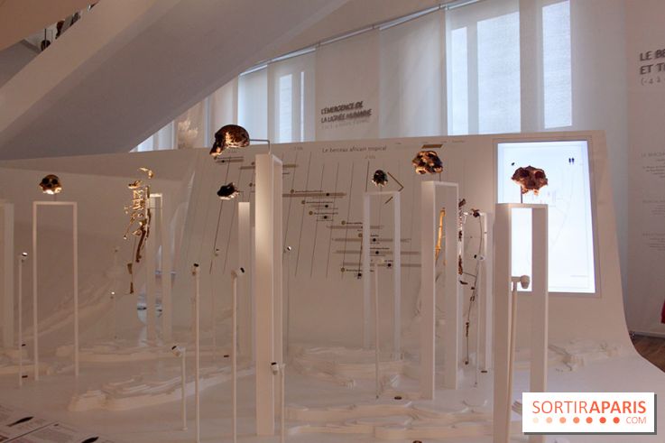 Le nouveau Musée de l'Homme 