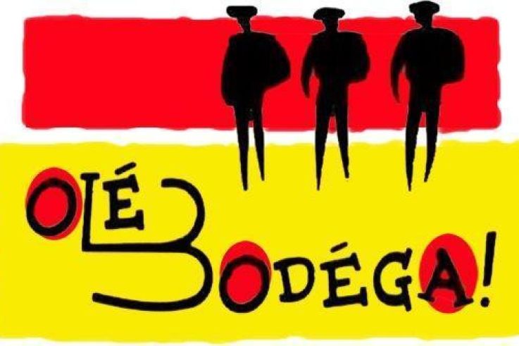 retransmission FRANCE IRLANDE sur écran