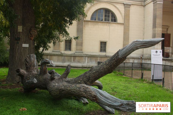 FIAC 2015, le hors-les-murs au Jardin des Plantes