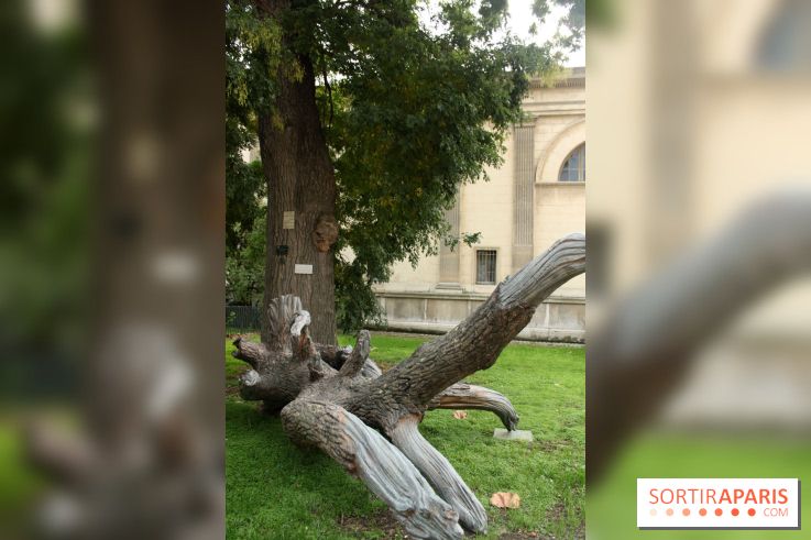 FIAC 2015, le hors-les-murs au Jardin des Plantes