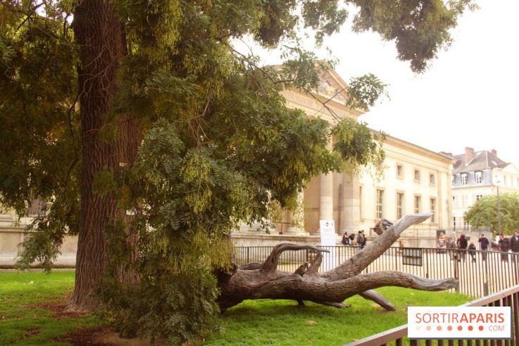 FIAC 2015, le hors-les-murs au Jardin des Plantes