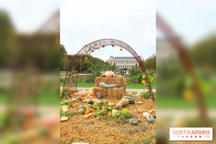 FIAC 2015, le hors-les-murs au Jardin des Plantes