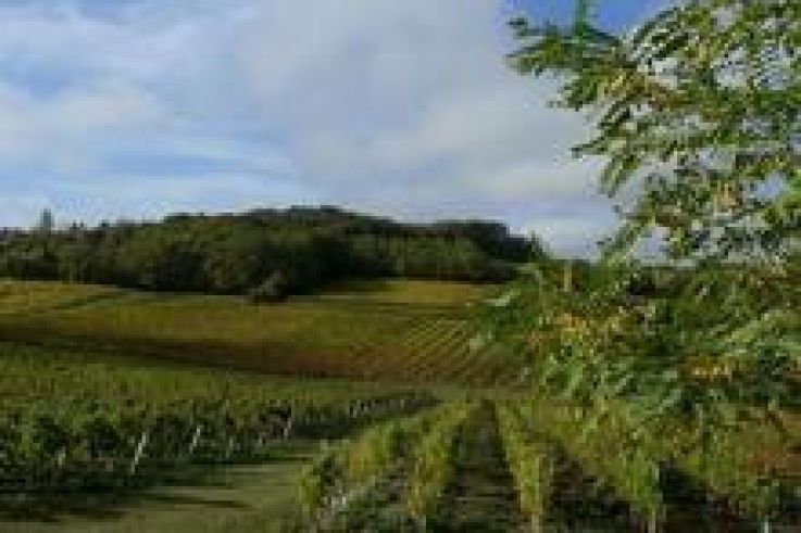 Salon des Vins et des Terroirs