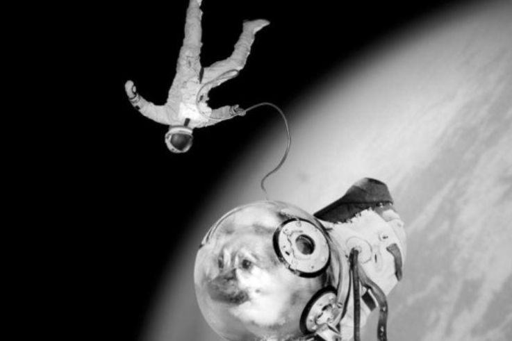 Camouflages de Joan Fontcuberta à la Maison Européenne de la Photographie