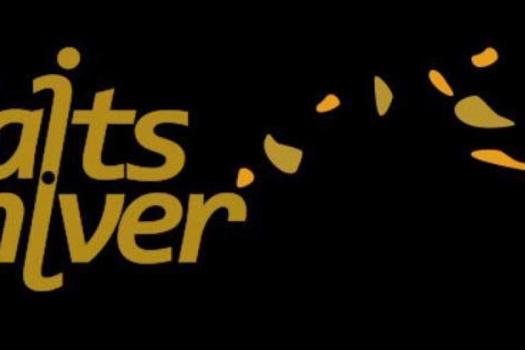 Festival Faits d'Hiver 2015