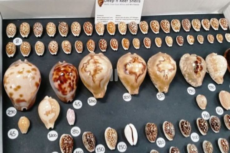 Les Rencontres Internationales du Coquillage 2019 à l'Espace Charenton