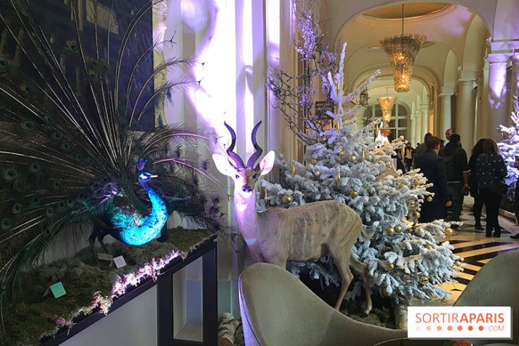 Noël au Trianon palace avec Deyrolle