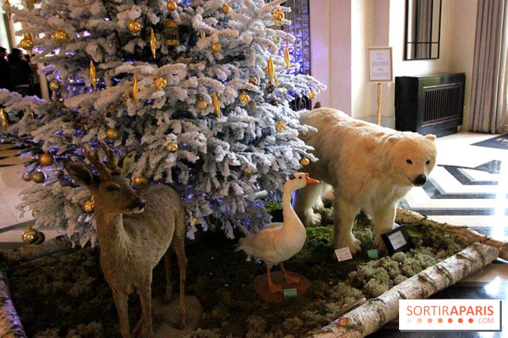 Noël au Trianon palace avec Deyrolle