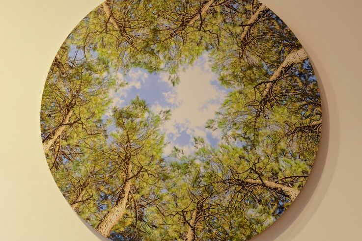 On a testé : le Bol d'air Jacquier du laboratoire Holiste