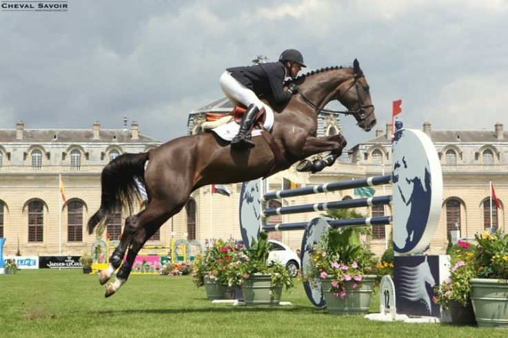 Le Jumping International de Chantilly revient en 2016 !
