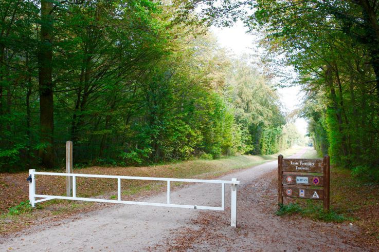 Le Marathon de Chantilly revient en 2017